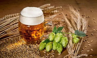 奇葩的德國人 酒精飲料中的奇聞趣事