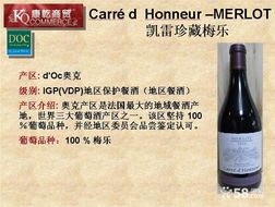 僅99元！紅酒之夜精品派對單人套餐，尊享法式微醺之旅